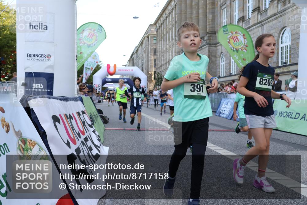 07.09.2025 - BARMER Alsterlauf Strokosch-Dieckow http://msf.ph/oto/8717158 07.09.2025 10:51:33 Ziel 152, 170, 203, 256, 266, 314, 322, 343, 380, 391, 400, 421, 422, 427, 433, 442, 452, 8122, 8135, 8188, 8189, 8209, 8376, 8380 meine-sportfotos.de