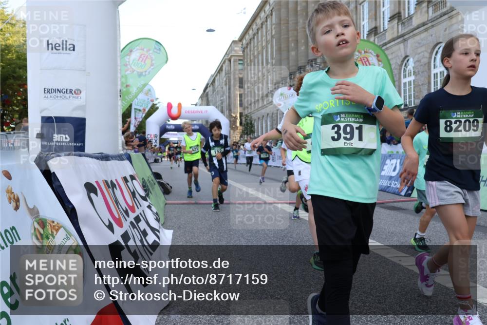 07.09.2025 - BARMER Alsterlauf Strokosch-Dieckow http://msf.ph/oto/8717159 07.09.2025 10:51:33 Ziel 152, 170, 203, 256, 266, 314, 322, 343, 380, 391, 400, 421, 422, 427, 433, 442, 452, 8122, 8135, 8188, 8189, 8209, 8376, 8380 meine-sportfotos.de