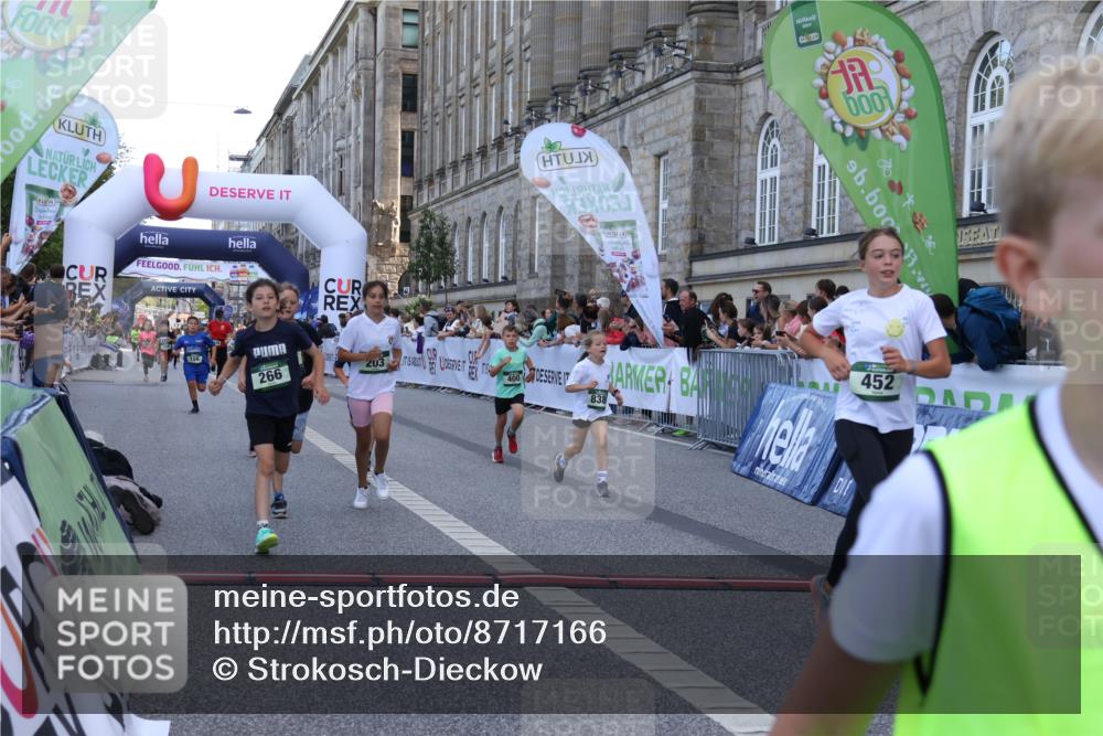 07.09.2025 - BARMER Alsterlauf Strokosch-Dieckow http://msf.ph/oto/8717166 07.09.2025 10:51:37 Ziel 152, 156, 170, 203, 256, 266, 322, 332, 343, 391, 400, 421, 422, 425, 426, 433, 442, 452, 8135, 8188, 8189, 8209, 8329, 8376, 8380, 8459 meine-sportfotos.de