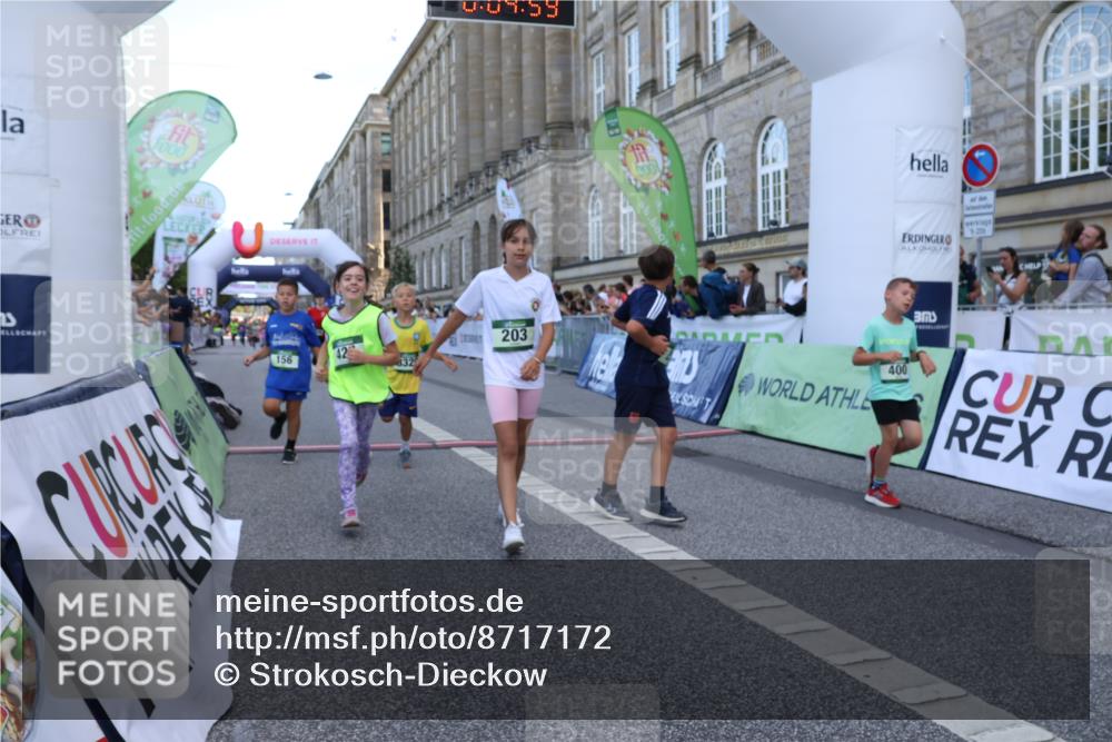 07.09.2025 - BARMER Alsterlauf Strokosch-Dieckow http://msf.ph/oto/8717172 07.09.2025 10:51:40 Ziel 156, 170, 203, 205, 256, 266, 273, 332, 383, 400, 401, 425, 426, 440, 442, 452, 8135, 8193, 8329, 8376, 8380, 8459 meine-sportfotos.de