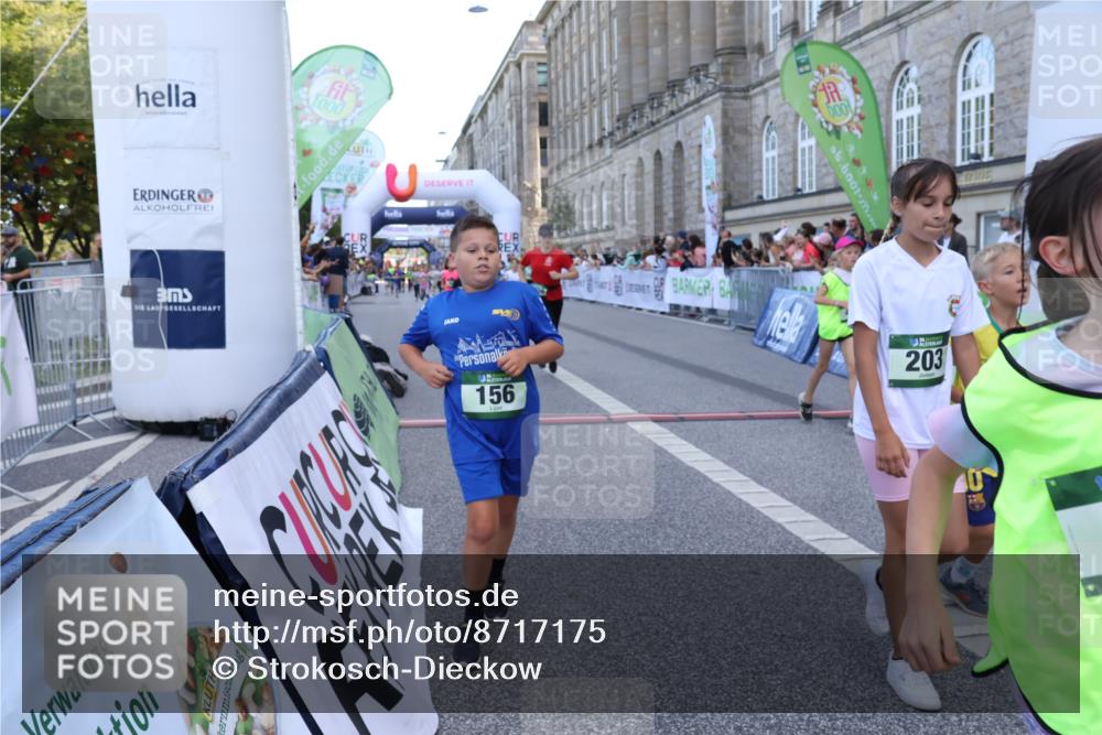 07.09.2025 - BARMER Alsterlauf Strokosch-Dieckow http://msf.ph/oto/8717175 07.09.2025 10:51:42 Ziel 156, 203, 205, 256, 266, 273, 332, 334, 383, 392, 400, 401, 405, 412, 425, 426, 440, 445, 452, 8135, 8193, 8329, 8376, 8380, 8459 meine-sportfotos.de