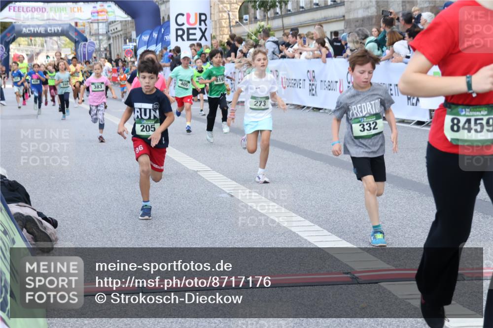 07.09.2025 - BARMER Alsterlauf Strokosch-Dieckow http://msf.ph/oto/8717176 07.09.2025 10:51:43 Ziel 156, 203, 205, 239, 256, 266, 273, 316, 332, 334, 339, 383, 390, 392, 400, 401, 405, 412, 425, 426, 440, 445, 8193, 8329, 8376, 8380, 8459 meine-sportfotos.de