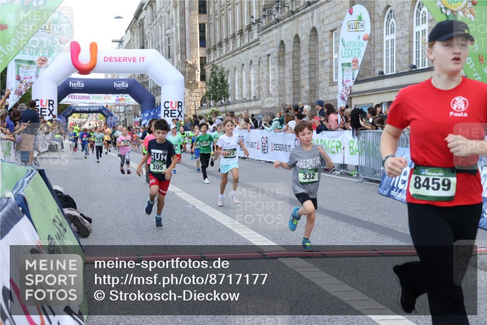 07.09.2025 - BARMER Alsterlauf Strokosch-Dieckow http://msf.ph/oto/8717177 07.09.2025 10:51:43 Ziel 156, 203, 205, 239, 256, 266, 273, 316, 332, 334, 339, 383, 390, 392, 400, 401, 405, 412, 425, 426, 440, 445, 8193, 8329, 8376, 8380, 8459 meine-sportfotos.de