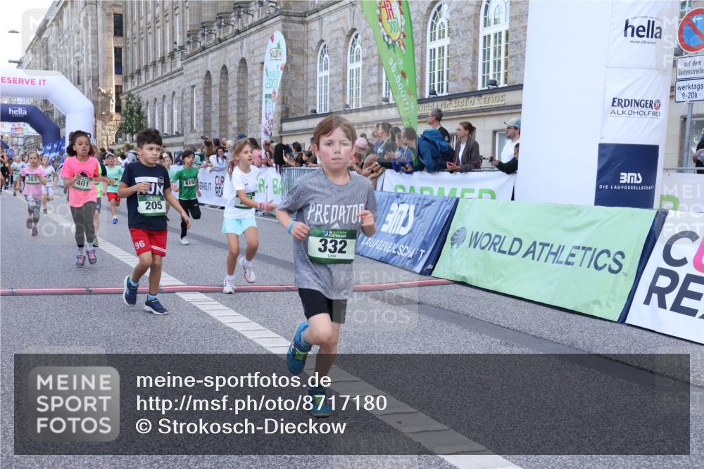 07.09.2025 - BARMER Alsterlauf Strokosch-Dieckow http://msf.ph/oto/8717180 07.09.2025 10:51:45 Ziel 156, 160, 174, 205, 222, 239, 256, 273, 316, 332, 334, 339, 383, 390, 392, 400, 401, 405, 412, 425, 426, 440, 445, 446, 8193, 8329, 8459 meine-sportfotos.de