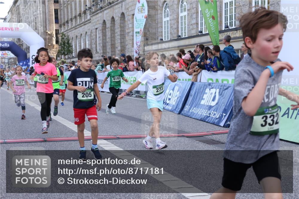 07.09.2025 - BARMER Alsterlauf Strokosch-Dieckow http://msf.ph/oto/8717181 07.09.2025 10:51:45 Ziel 156, 160, 174, 205, 222, 239, 256, 273, 316, 332, 334, 339, 383, 390, 392, 400, 401, 405, 412, 425, 426, 440, 445, 446, 8193, 8329, 8459 meine-sportfotos.de