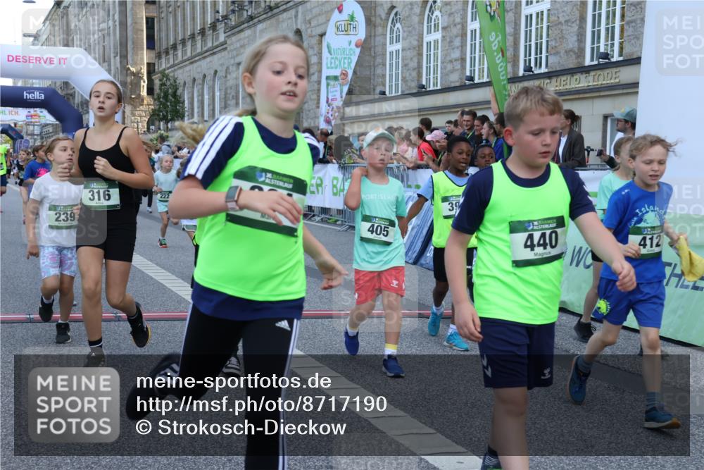 07.09.2025 - BARMER Alsterlauf Strokosch-Dieckow http://msf.ph/oto/8717190 07.09.2025 10:51:50 Ziel 158, 160, 174, 178, 192, 205, 222, 239, 240, 273, 288, 296, 306, 311, 316, 317, 323, 334, 339, 342, 383, 390, 392, 401, 405, 409, 412, 423, 439, 440, 445, 446, 448, 8193, 8460 meine-sportfotos.de