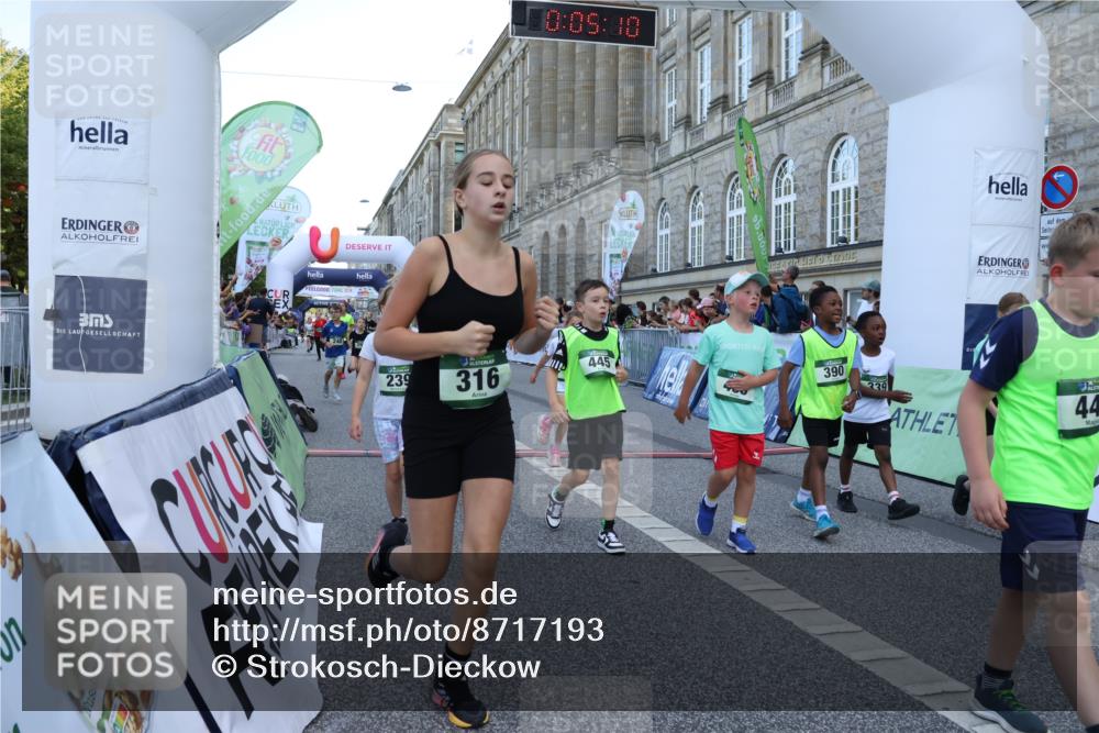 07.09.2025 - BARMER Alsterlauf Strokosch-Dieckow http://msf.ph/oto/8717193 07.09.2025 10:51:51 Ziel 158, 160, 174, 178, 192, 204, 222, 239, 240, 273, 288, 296, 306, 307, 311, 316, 317, 323, 334, 339, 342, 369, 383, 390, 392, 401, 405, 406, 409, 412, 423, 439, 440, 445, 446, 448, 8193, 8460 meine-sportfotos.de