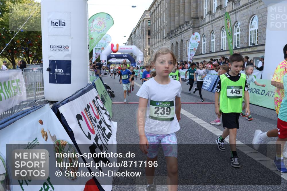 07.09.2025 - BARMER Alsterlauf Strokosch-Dieckow http://msf.ph/oto/8717196 07.09.2025 10:51:52 Ziel 158, 160, 174, 178, 192, 204, 222, 227, 239, 240, 288, 296, 306, 307, 311, 316, 317, 323, 334, 339, 342, 369, 383, 389, 390, 392, 405, 406, 409, 412, 423, 439, 440, 445, 446, 448, 8193, 8460 meine-sportfotos.de