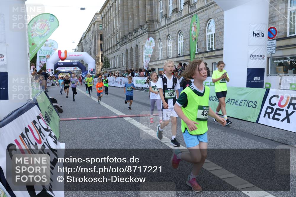 07.09.2025 - BARMER Alsterlauf Strokosch-Dieckow http://msf.ph/oto/8717221 07.09.2025 10:52:05 Ziel 153, 164, 169, 186, 191, 207, 209, 220, 232, 265, 297, 312, 315, 350, 367, 403, 415, 424, 455, 8085 meine-sportfotos.de
