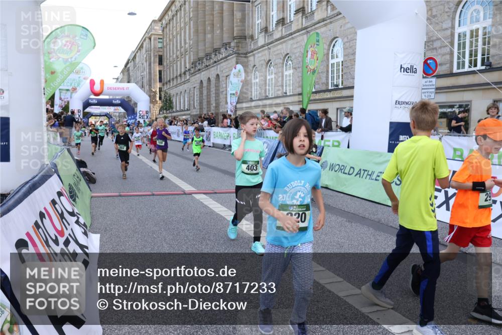 07.09.2025 - BARMER Alsterlauf Strokosch-Dieckow http://msf.ph/oto/8717233 07.09.2025 10:52:10 Ziel 164, 169, 179, 191, 202, 207, 209, 220, 232, 238, 253, 257, 258, 274, 285, 297, 312, 346, 364, 367, 368, 393, 394, 403, 404, 415, 8085, 8277 meine-sportfotos.de