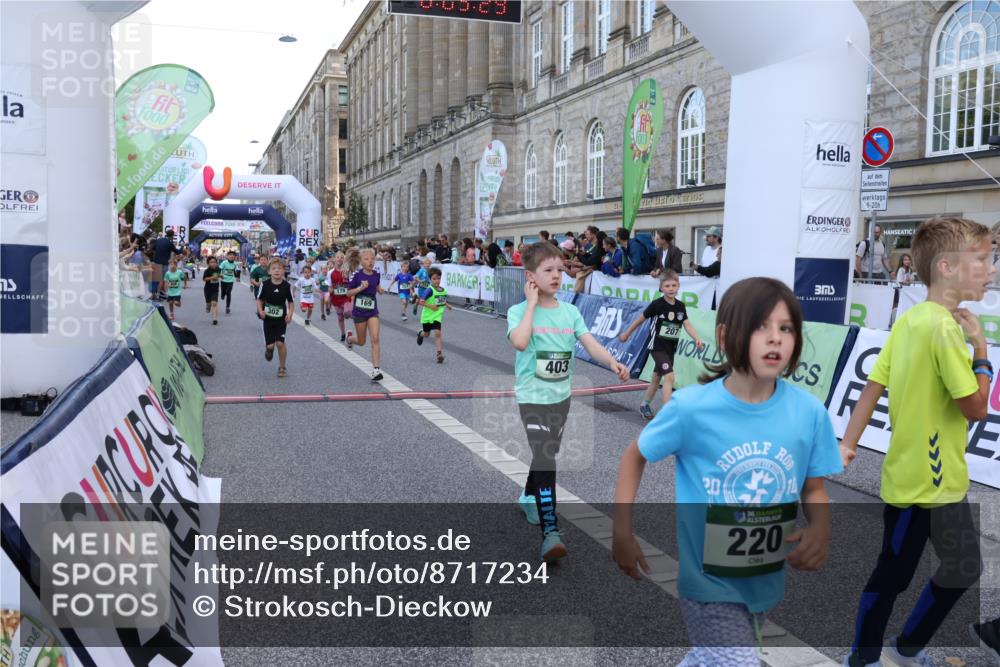 07.09.2025 - BARMER Alsterlauf Strokosch-Dieckow http://msf.ph/oto/8717234 07.09.2025 10:52:11 Ziel 164, 169, 179, 191, 202, 206, 207, 209, 220, 232, 238, 253, 257, 258, 274, 285, 297, 346, 364, 367, 368, 393, 394, 403, 404, 415, 8085, 8277 meine-sportfotos.de