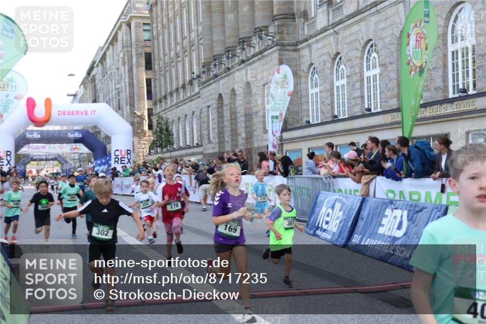 07.09.2025 - BARMER Alsterlauf Strokosch-Dieckow http://msf.ph/oto/8717235 07.09.2025 10:52:11 Ziel 164, 169, 179, 191, 202, 206, 207, 209, 220, 232, 238, 253, 257, 258, 274, 285, 297, 346, 364, 367, 368, 393, 394, 403, 404, 415, 8085, 8277 meine-sportfotos.de