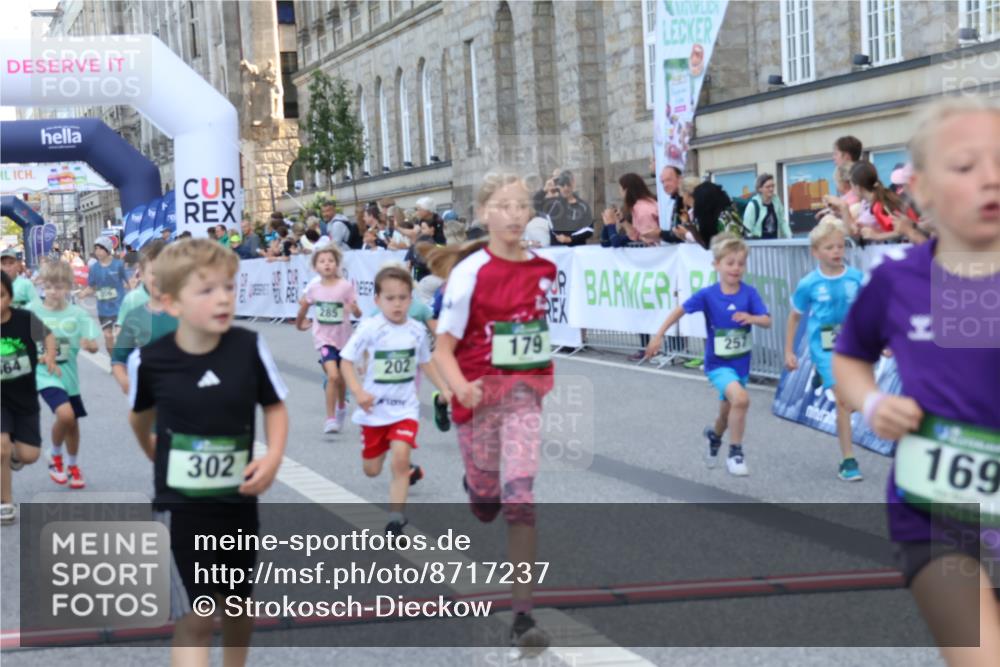 07.09.2025 - BARMER Alsterlauf Strokosch-Dieckow http://msf.ph/oto/8717237 07.09.2025 10:52:12 Ziel 164, 169, 179, 191, 202, 206, 207, 209, 220, 232, 238, 253, 257, 258, 274, 285, 297, 346, 364, 367, 368, 393, 394, 403, 404, 415, 8277 meine-sportfotos.de