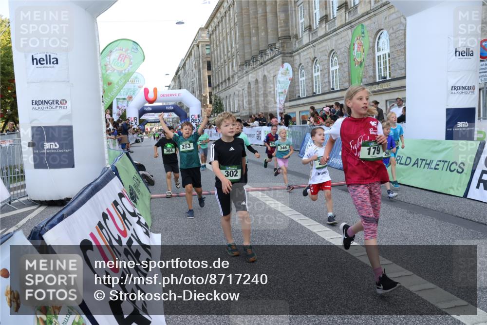 07.09.2025 - BARMER Alsterlauf Strokosch-Dieckow http://msf.ph/oto/8717240 07.09.2025 10:52:13 Ziel 169, 179, 191, 202, 206, 207, 220, 238, 253, 257, 258, 274, 285, 297, 299, 346, 364, 367, 368, 393, 394, 403, 404, 8277 meine-sportfotos.de