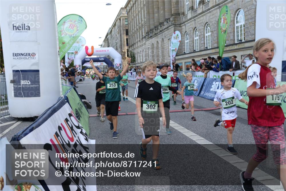 07.09.2025 - BARMER Alsterlauf Strokosch-Dieckow http://msf.ph/oto/8717241 07.09.2025 10:52:14 Ziel 169, 179, 202, 206, 207, 220, 238, 253, 257, 258, 274, 285, 297, 299, 346, 364, 367, 368, 393, 394, 403, 404, 8277, 8480 meine-sportfotos.de