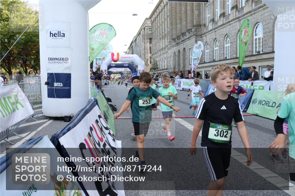 07.09.2025 - BARMER Alsterlauf Strokosch-Dieckow http://msf.ph/oto/8717244 07.09.2025 10:52:15 Ziel 169, 179, 202, 206, 207, 238, 253, 257, 258, 274, 285, 299, 346, 364, 367, 368, 393, 394, 404, 8277, 8480 meine-sportfotos.de