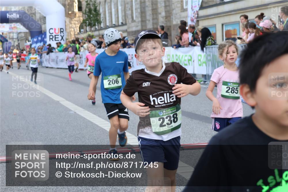 07.09.2025 - BARMER Alsterlauf Strokosch-Dieckow http://msf.ph/oto/8717245 07.09.2025 10:52:17 Ziel 169, 179, 202, 206, 237, 238, 253, 257, 258, 274, 285, 299, 346, 364, 367, 368, 393, 394, 398, 404, 8277, 8480 meine-sportfotos.de