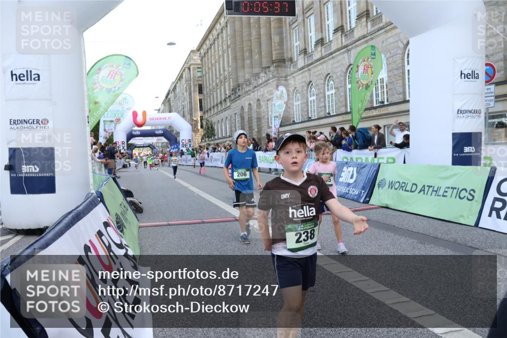 07.09.2025 - BARMER Alsterlauf Strokosch-Dieckow http://msf.ph/oto/8717247 07.09.2025 10:52:18 Ziel 179, 202, 206, 237, 238, 253, 257, 258, 274, 285, 299, 346, 360, 364, 368, 393, 394, 398, 404, 8277, 8480 meine-sportfotos.de