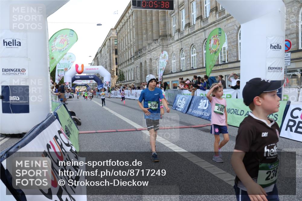 07.09.2025 - BARMER Alsterlauf Strokosch-Dieckow http://msf.ph/oto/8717249 07.09.2025 10:52:19 Ziel 206, 237, 238, 253, 257, 258, 274, 285, 299, 330, 346, 360, 364, 368, 393, 394, 398, 404, 8277, 8480 meine-sportfotos.de