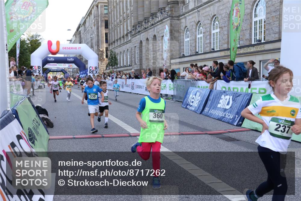 07.09.2025 - BARMER Alsterlauf Strokosch-Dieckow http://msf.ph/oto/8717262 07.09.2025 10:52:25 Ziel 154, 155, 168, 175, 212, 221, 237, 284, 299, 330, 360, 382, 385, 398, 8298, 8451, 8480, 8487 meine-sportfotos.de