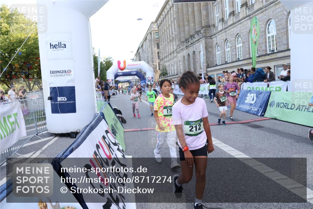 07.09.2025 - BARMER Alsterlauf Strokosch-Dieckow http://msf.ph/oto/8717274 07.09.2025 10:52:30 Ziel 154, 155, 168, 175, 212, 221, 284, 329, 330, 360, 382, 385, 8280, 8298, 8392, 8451, 8487 meine-sportfotos.de