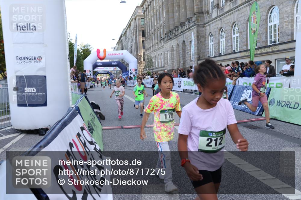 07.09.2025 - BARMER Alsterlauf Strokosch-Dieckow http://msf.ph/oto/8717275 07.09.2025 10:52:30 Ziel 154, 155, 168, 175, 212, 221, 284, 329, 330, 360, 382, 385, 8280, 8298, 8392, 8451, 8487 meine-sportfotos.de