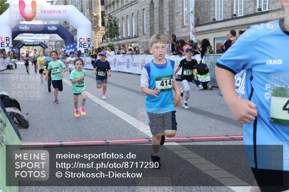 07.09.2025 - BARMER Alsterlauf Strokosch-Dieckow http://msf.ph/oto/8717290 07.09.2025 10:52:39 Ziel 187, 194, 301, 341, 371, 386, 414, 429, 8124, 8392 meine-sportfotos.de