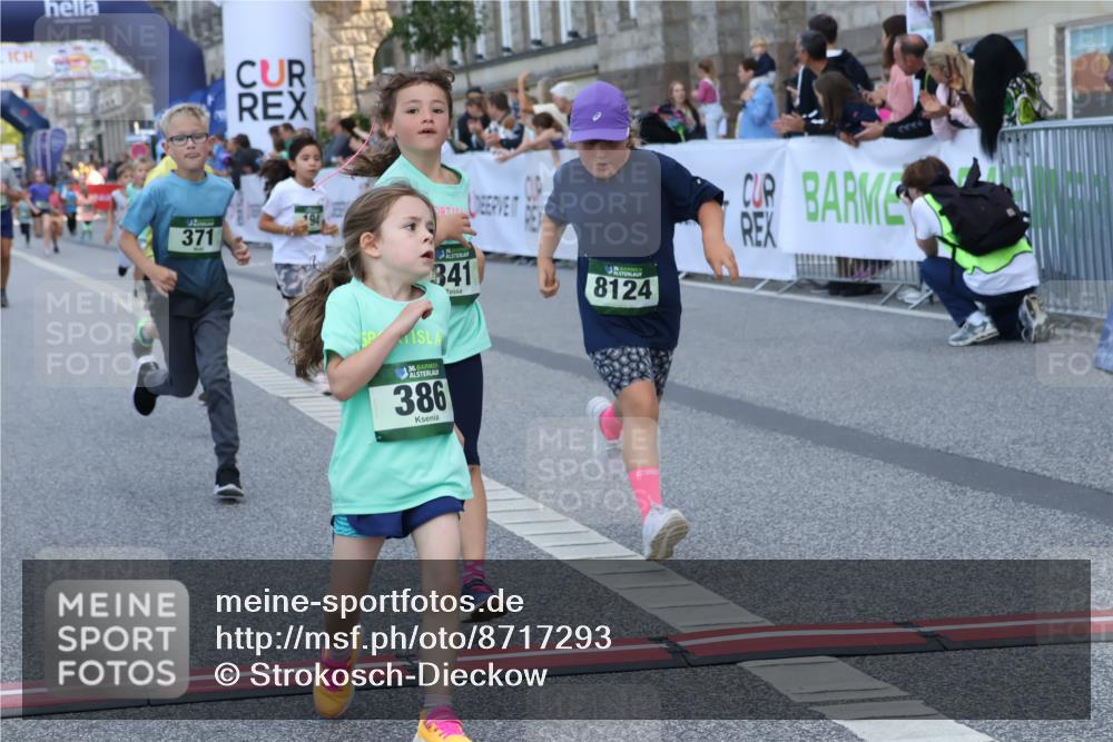07.09.2025 - BARMER Alsterlauf Strokosch-Dieckow http://msf.ph/oto/8717293 07.09.2025 10:52:40 Ziel 187, 194, 276, 282, 301, 341, 357, 371, 386, 414, 429, 8124, 8392 meine-sportfotos.de