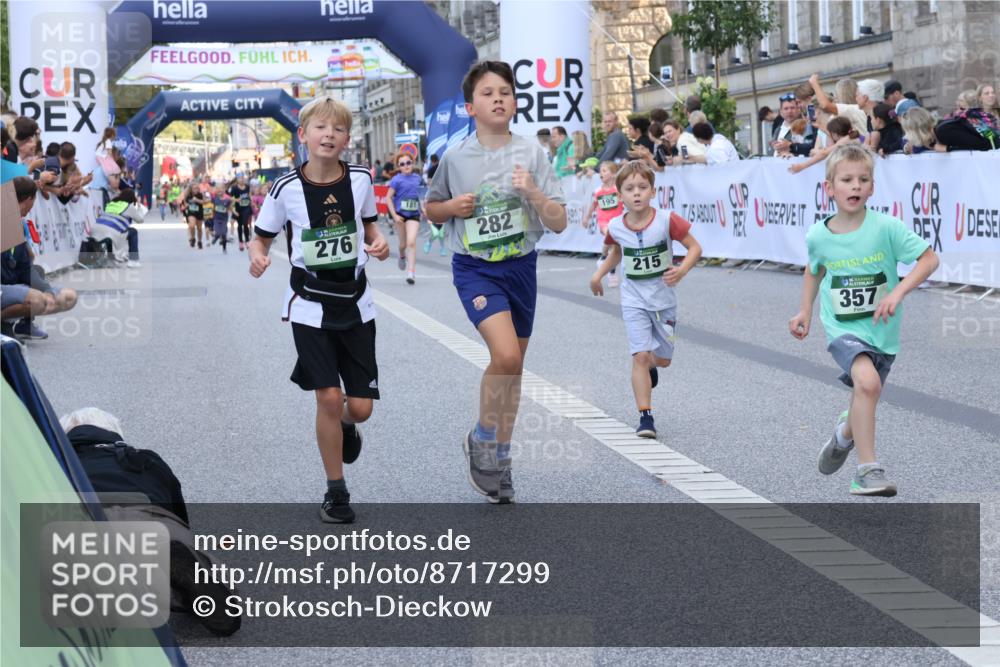 07.09.2025 - BARMER Alsterlauf Strokosch-Dieckow http://msf.ph/oto/8717299 07.09.2025 10:52:45 Ziel 187, 194, 195, 215, 255, 276, 282, 301, 328, 341, 357, 371, 386, 8124 meine-sportfotos.de