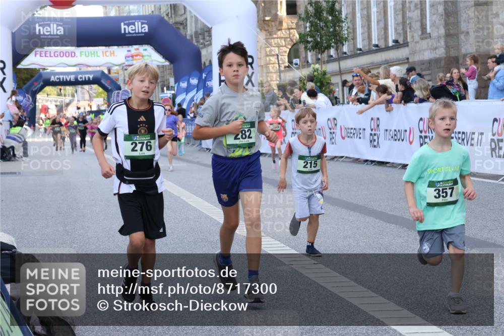 07.09.2025 - BARMER Alsterlauf Strokosch-Dieckow http://msf.ph/oto/8717300 07.09.2025 10:52:45 Ziel 187, 194, 195, 215, 255, 276, 282, 301, 328, 341, 357, 371, 386, 8124 meine-sportfotos.de