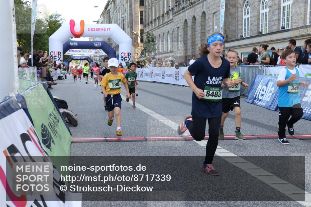 07.09.2025 - BARMER Alsterlauf Strokosch-Dieckow http://msf.ph/oto/8717339 07.09.2025 10:53:03 Ziel 161, 188, 198, 201, 218, 326, 348, 355, 362, 370, 372, 8084, 8211, 8220, 8297, 8483 meine-sportfotos.de