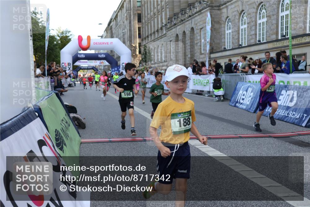 07.09.2025 - BARMER Alsterlauf Strokosch-Dieckow http://msf.ph/oto/8717342 07.09.2025 10:53:05 Ziel 188, 198, 201, 218, 254, 278, 292, 293, 326, 348, 355, 362, 370, 372, 416, 8084, 8211, 8220, 8297, 8483 meine-sportfotos.de
