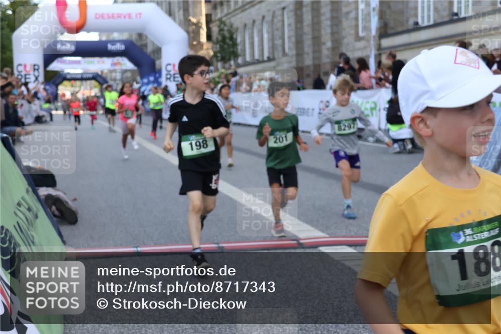 07.09.2025 - BARMER Alsterlauf Strokosch-Dieckow http://msf.ph/oto/8717343 07.09.2025 10:53:05 Ziel 188, 198, 201, 218, 254, 278, 292, 293, 326, 348, 355, 362, 370, 372, 416, 8084, 8211, 8220, 8297, 8483 meine-sportfotos.de