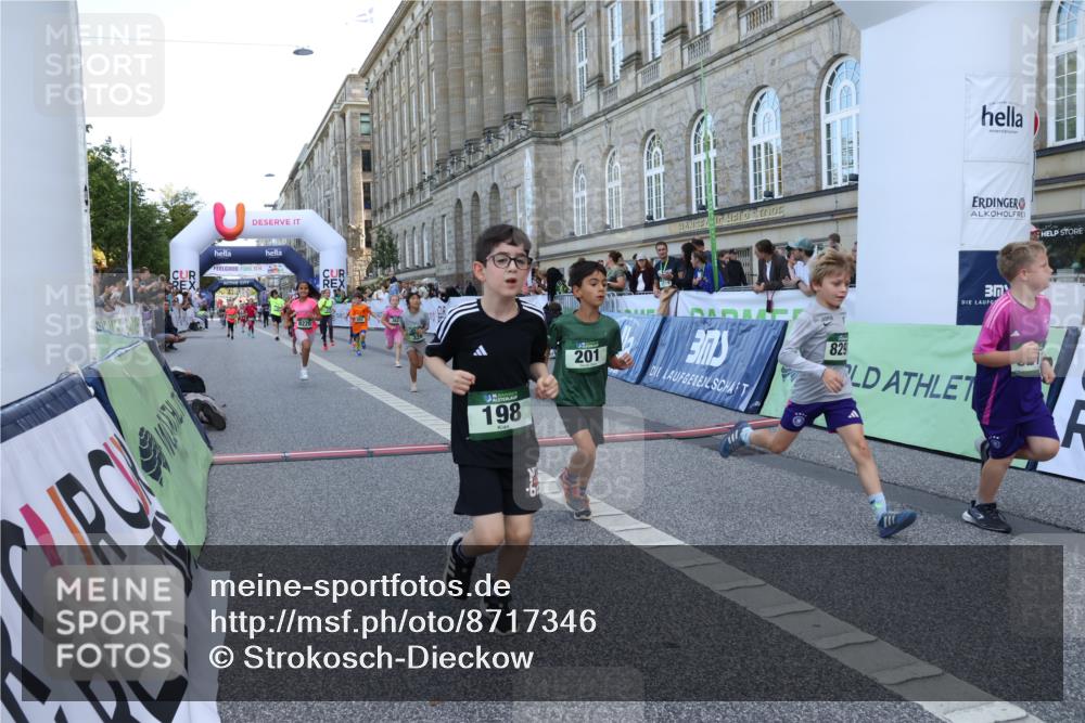 07.09.2025 - BARMER Alsterlauf Strokosch-Dieckow http://msf.ph/oto/8717346 07.09.2025 10:53:06 Ziel 188, 198, 201, 218, 254, 278, 292, 293, 326, 338, 348, 355, 362, 370, 372, 416, 8084, 8211, 8220, 8297, 8483 meine-sportfotos.de
