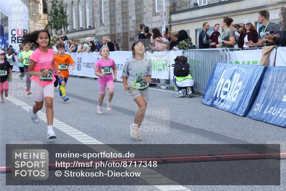 07.09.2025 - BARMER Alsterlauf Strokosch-Dieckow http://msf.ph/oto/8717348 07.09.2025 10:53:07 Ziel 188, 198, 201, 218, 254, 278, 292, 293, 326, 331, 338, 348, 355, 362, 416, 8211, 8220, 8297, 8483 meine-sportfotos.de