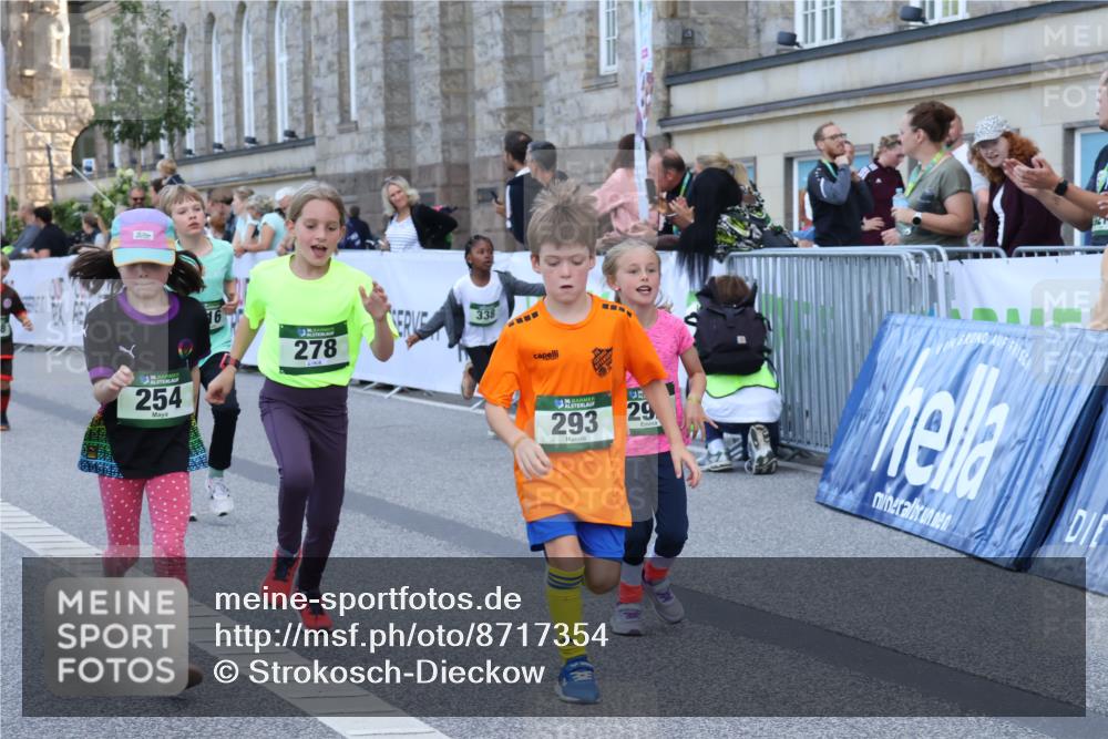 07.09.2025 - BARMER Alsterlauf Strokosch-Dieckow http://msf.ph/oto/8717354 07.09.2025 10:53:09 Ziel 159, 188, 198, 201, 248, 254, 278, 292, 293, 305, 326, 331, 338, 348, 355, 362, 416, 8211, 8220, 8297 meine-sportfotos.de