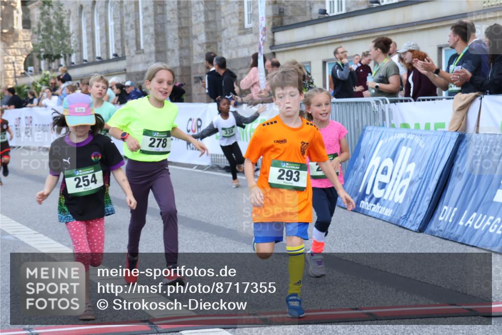 07.09.2025 - BARMER Alsterlauf Strokosch-Dieckow http://msf.ph/oto/8717355 07.09.2025 10:53:10 Ziel 159, 198, 201, 248, 254, 278, 281, 292, 293, 305, 326, 331, 338, 362, 416, 8087, 8211, 8220, 8297 meine-sportfotos.de