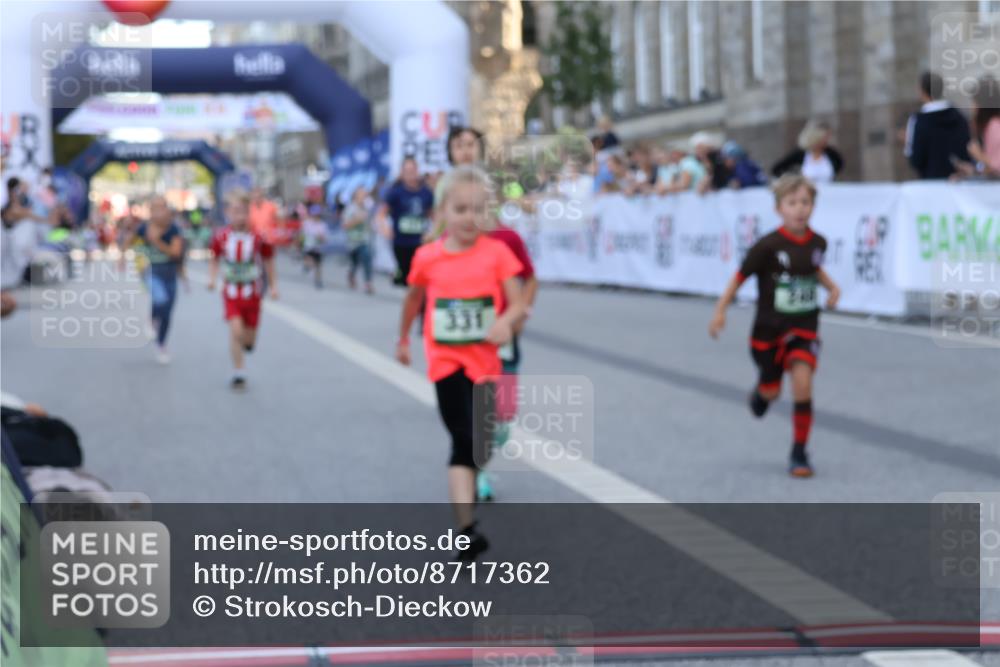 07.09.2025 - BARMER Alsterlauf Strokosch-Dieckow http://msf.ph/oto/8717362 07.09.2025 10:53:13 Ziel 159, 185, 248, 254, 278, 281, 292, 293, 305, 321, 326, 331, 338, 362, 416, 8087, 8220 meine-sportfotos.de