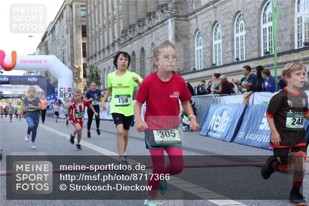 07.09.2025 - BARMER Alsterlauf Strokosch-Dieckow http://msf.ph/oto/8717366 07.09.2025 10:53:15 Ziel 159, 185, 248, 254, 278, 281, 292, 293, 304, 305, 321, 331, 338, 416, 8087 meine-sportfotos.de