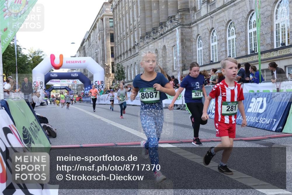 07.09.2025 - BARMER Alsterlauf Strokosch-Dieckow http://msf.ph/oto/8717370 07.09.2025 10:53:17 Ziel 159, 185, 243, 248, 281, 304, 305, 321, 331, 338, 416, 8087 meine-sportfotos.de