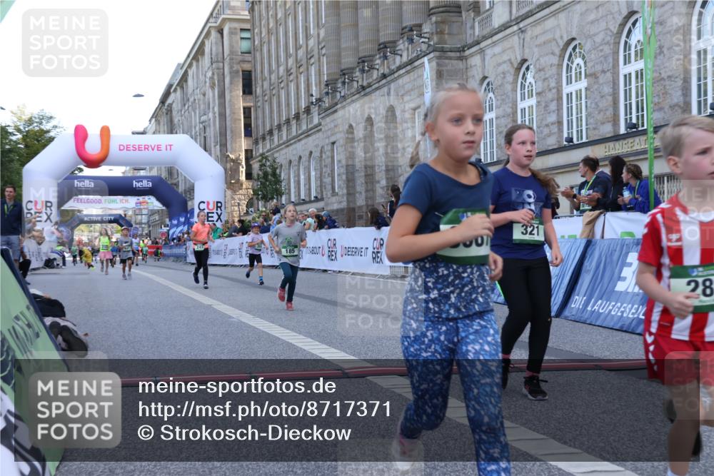 07.09.2025 - BARMER Alsterlauf Strokosch-Dieckow http://msf.ph/oto/8717371 07.09.2025 10:53:18 Ziel 159, 185, 243, 248, 281, 304, 305, 321, 331, 338, 447, 8087 meine-sportfotos.de