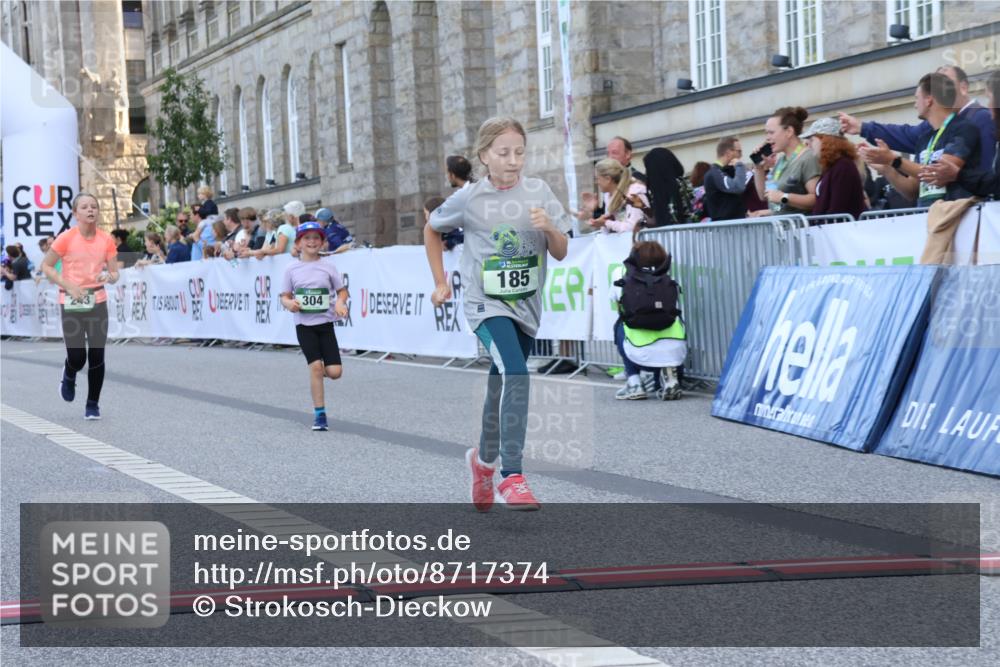 07.09.2025 - BARMER Alsterlauf Strokosch-Dieckow http://msf.ph/oto/8717374 07.09.2025 10:53:19 Ziel 159, 185, 243, 248, 281, 304, 305, 321, 331, 447, 8087 meine-sportfotos.de