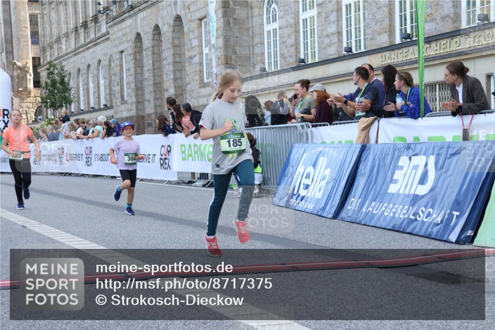 07.09.2025 - BARMER Alsterlauf Strokosch-Dieckow http://msf.ph/oto/8717375 07.09.2025 10:53:19 Ziel 159, 185, 243, 248, 281, 304, 305, 321, 331, 447, 8087 meine-sportfotos.de