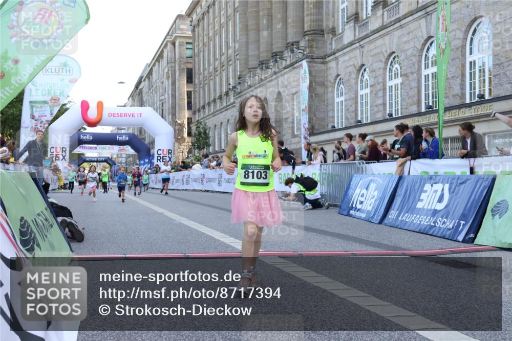 07.09.2025 - BARMER Alsterlauf Strokosch-Dieckow http://msf.ph/oto/8717394 07.09.2025 10:53:28 Ziel 243, 264, 447, 8055, 8103 meine-sportfotos.de