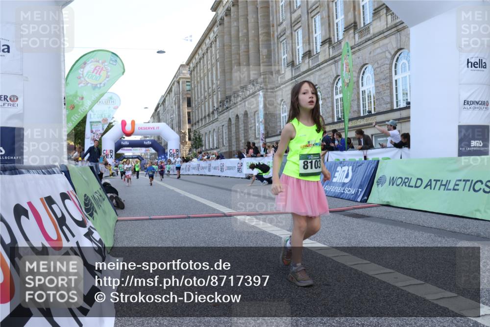 07.09.2025 - BARMER Alsterlauf Strokosch-Dieckow http://msf.ph/oto/8717397 07.09.2025 10:53:29 Ziel 264, 447, 8055, 8103 meine-sportfotos.de