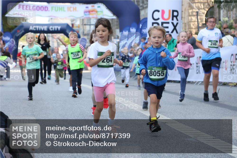 07.09.2025 - BARMER Alsterlauf Strokosch-Dieckow http://msf.ph/oto/8717399 07.09.2025 10:53:32 Ziel 176, 246, 264, 358, 454, 8055, 8103, 8278 meine-sportfotos.de