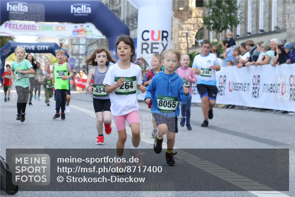 07.09.2025 - BARMER Alsterlauf Strokosch-Dieckow http://msf.ph/oto/8717400 07.09.2025 10:53:32 Ziel 176, 246, 264, 358, 454, 8055, 8103, 8278 meine-sportfotos.de
