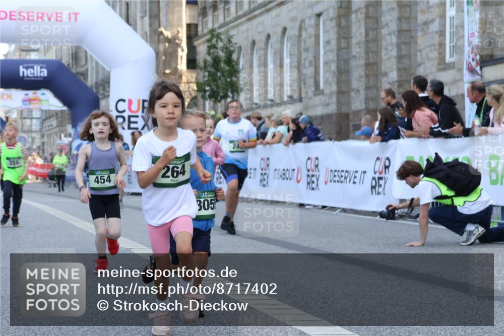 07.09.2025 - BARMER Alsterlauf Strokosch-Dieckow http://msf.ph/oto/8717402 07.09.2025 10:53:34 Ziel 176, 246, 264, 333, 356, 358, 454, 8055, 8278 meine-sportfotos.de