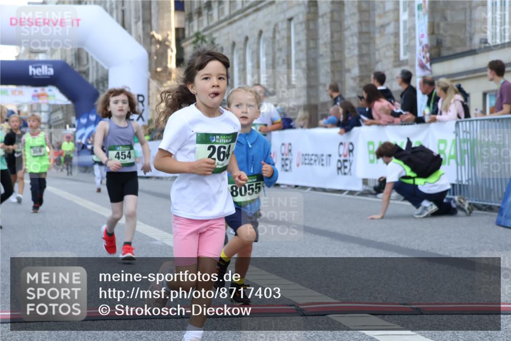07.09.2025 - BARMER Alsterlauf Strokosch-Dieckow http://msf.ph/oto/8717403 07.09.2025 10:53:34 Ziel 176, 246, 264, 333, 356, 358, 454, 8055, 8278 meine-sportfotos.de