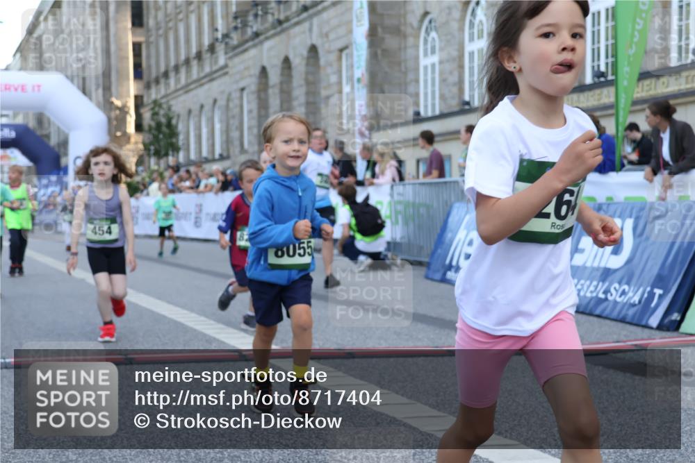 07.09.2025 - BARMER Alsterlauf Strokosch-Dieckow http://msf.ph/oto/8717404 07.09.2025 10:53:35 Ziel 176, 246, 264, 333, 337, 356, 358, 363, 454, 8055, 8278 meine-sportfotos.de
